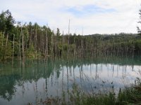 img (50)